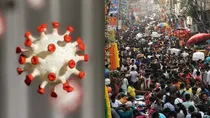 h3n2 virus deaths in india H3N2 influenza virus