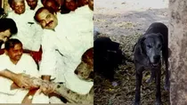 atiq ahmed dog bruno
