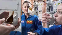 Nasa Scifi cup 