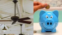 Celling fans have to go under BEE ratings as of January 1, 2023. How much will you save?