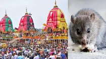 Jagannath Temple Puri 