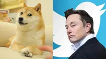 Twitter replaces Blue Bird logo with Doge dog Elon Musk