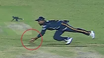 Rahul Tewatia took a blinder to remove Rilee Rossouw