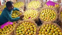Pune trader set to sell mangoes on EMIs, set to get costlier this summer