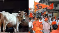 Hindu Mahasabha workers Accused of cow slaughtering