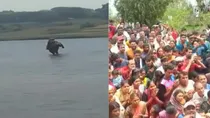 woman walking on water viral video