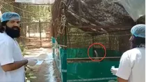 Arif Sarus Kanpur zoo Saras se milne pahucha arif viral news viral video
