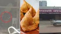 MP viral restaurant video man seen mixing potato with feets