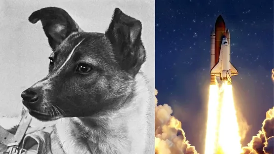 laika sputnik 2 space launch