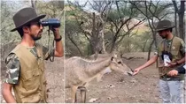 Shyam Rangeela PM Modi Look Mimicry Jungle Safari Tiger Reserve