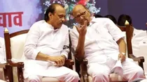 maharashtra ajit pawar sharad pawar NCP with Bjp