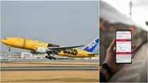 All nippon, Fight ticket, Flight