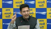 Delhi liquor policy case ED chargesheet Raghav Chadha