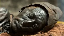 Tollund Man