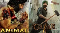 gadar 2, animal, ranbir kapoor, sunny deol,