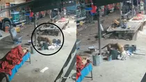 pune viral video leopard attack on pet dog