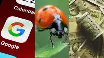 Google launches bug bounty program for its Android applications