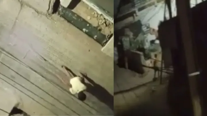 Man allegedly kills dog then drags dead body on street video went viral lucknow
