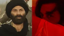 gadar 2, animal, sunny deol, 