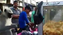monkey eating golgappa