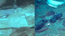 Titan submarine debris photos being circulated are fake 