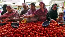 tomato price hike in delhi up monsoon