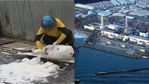Japans nuclear water plan South Korea Salt Fukushima nuclear station china