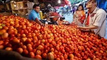 Tomato Grand Challenge Hackathon