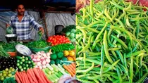 green chilli price rised after tomato coriander ginger cumin seed selling at 200 rupee kilo