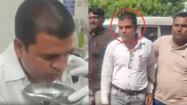 Katni MP bribe taker patwari swallowed notes, later arrested