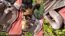 viral video of snake in man shirt