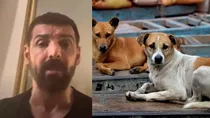 The call to amend Animal Cruelty Act after 63 years through NoMore50