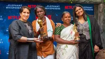The Elephant Whisperers, bomman bellie, kartiki gonsalves, 