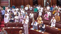 Parliament whip