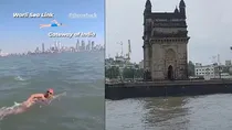 viral video of women swims 36 km