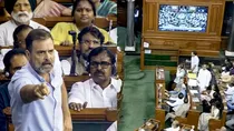 Lok Sabha secretariat says, Women MP's complaint not related to viral video