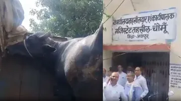post-main-image