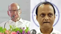 sharad pawar targets ajit pawar and rebel leaders joined bjp to get rid of ed probe pressure politics