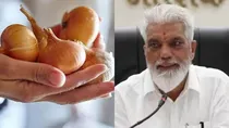 onion price dada bhuse comment