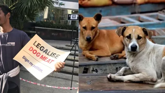 legalise dog meat bengaluru