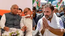 how has congress been benefited from bharat jodo yatra and india alliance motn survey tells