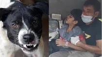 Child bitten by dog in Ghaziabad died