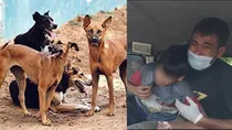 ghaziabad dog bite case child death