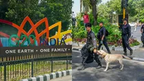  G20 summit delegates security arrangements
