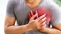 cholesterol is the silent killer behind brain stroke and heart attack