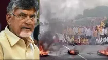 chandrababu naidu tdp skill development scam