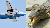 2010 Filair Let L-410 crash, Congo plane crash 2010