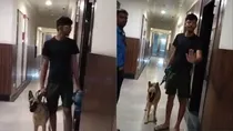 Dog owner, noida, 14th avenue