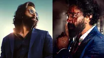 animal, ranbir kapoor, bobby deol,