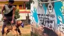 kerala drug dealer trained dogs 